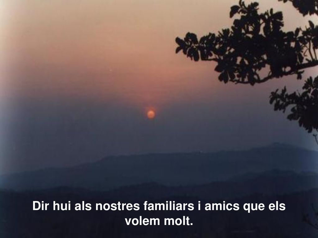 Dir hui als nostres familiars i amics que els volem molt.