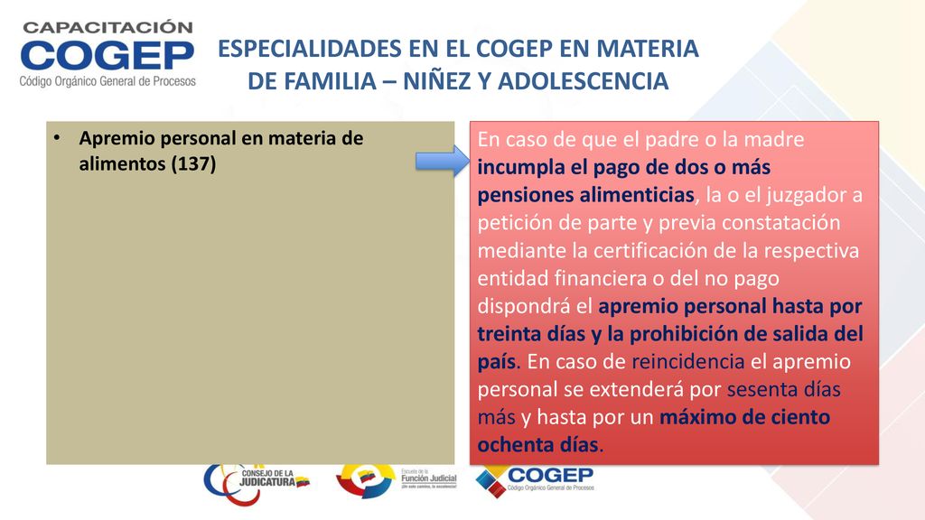 ESPECIALIDADES EN EL COGEP EN MATERIA DE FAMILIA – NIÑEZ Y ADOLESCENCIA