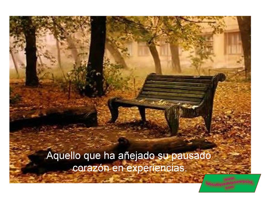 …El sol de otoño es tán cálido y delicado como