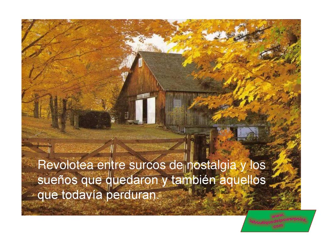 Revolotea entre surcos de nostalgia y los sueños que quedaron y también aquellos que todavía perduran.