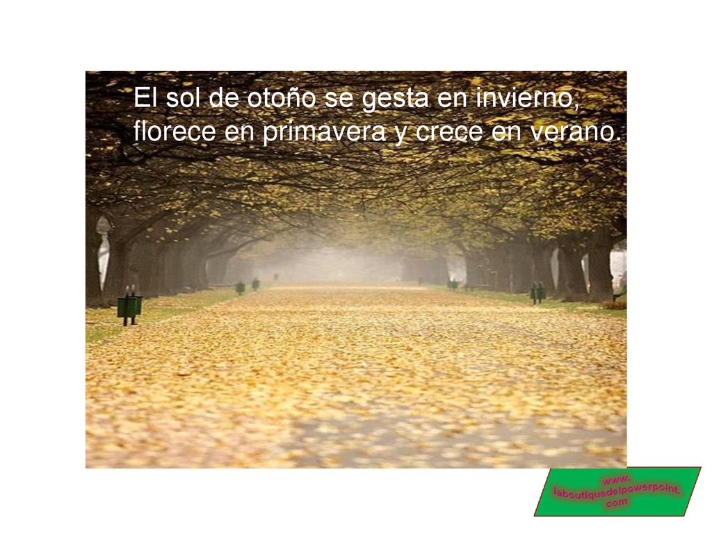 El sol de otoño se gesta en invierno, florece en primavera y crece en verano.