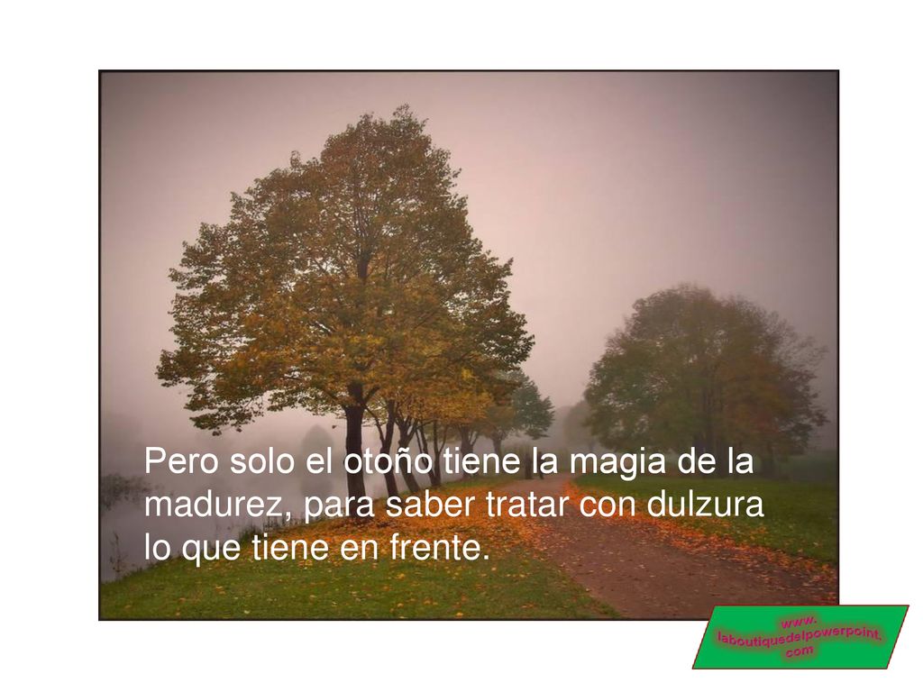 Pero solo el otoño tiene la magia de la madurez, para saber tratar con dulzura lo que tiene en frente.