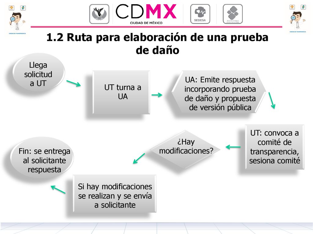1.2 Ruta para elaboración de una prueba de daño