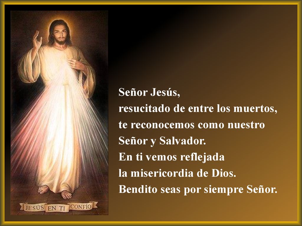 Señor Jesús, resucitado de entre los muertos, te reconocemos como nuestro Señor y Salvador. En ti vemos reflejada.