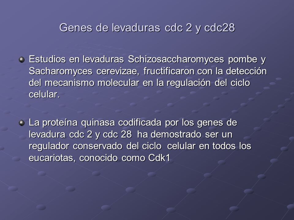 Genes de levaduras cdc 2 y cdc28