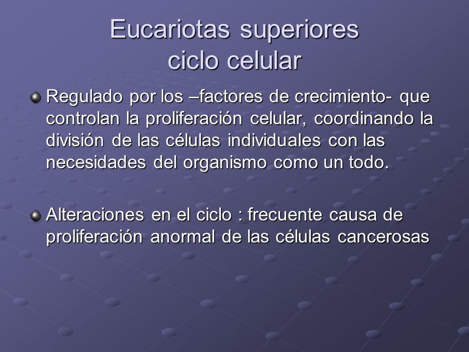 Eucariotas superiores ciclo celular