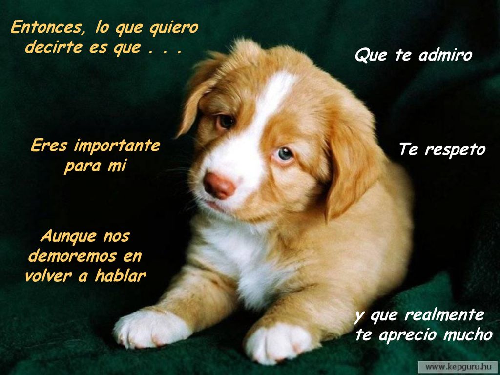 Entonces, lo que quiero decirte es que . . .