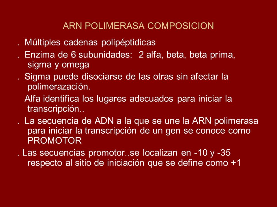 ARN POLIMERASA COMPOSICION