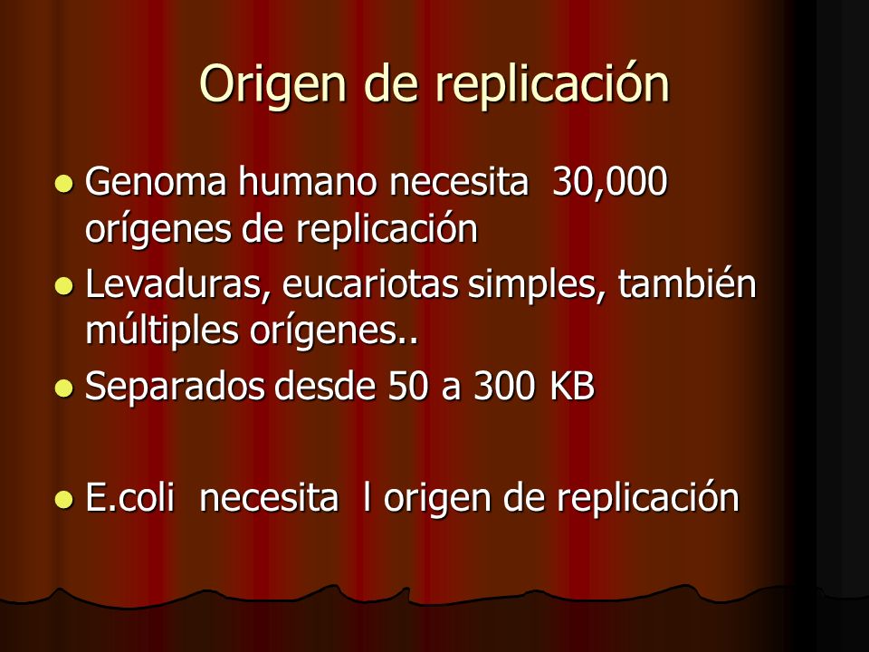 Origen de replicación Genoma humano necesita 30,000 orígenes de replicación. Levaduras, eucariotas simples, también múltiples orígenes..
