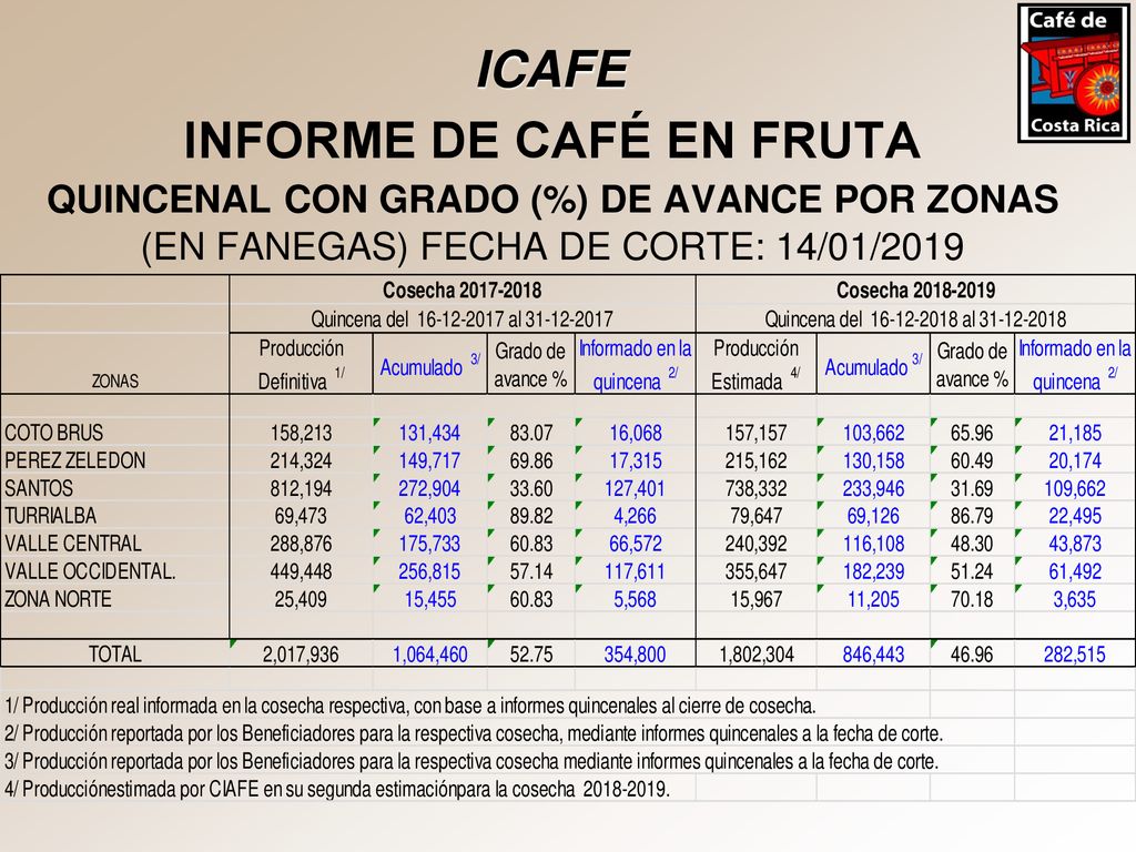 ICAFE INFORME DE CAFÉ EN FRUTA QUINCENAL CON GRADO (%) DE AVANCE POR ZONAS (EN FANEGAS) FECHA DE CORTE: 14/01/2019.