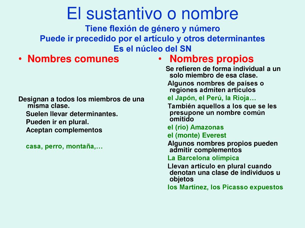 El sustantivo o nombre Tiene flexión de género y número Puede ir precedido por el artículo y otros determinantes Es el núcleo del SN