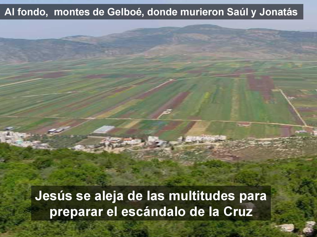 Jesús se aleja de las multitudes para preparar el escándalo de la Cruz