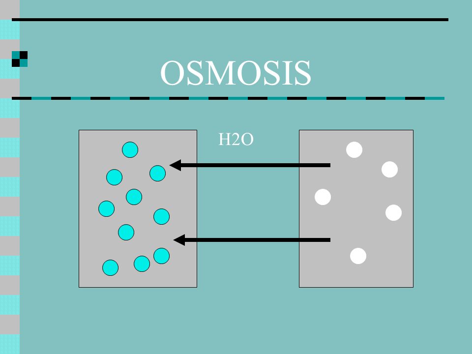 OSMOSIS H2O