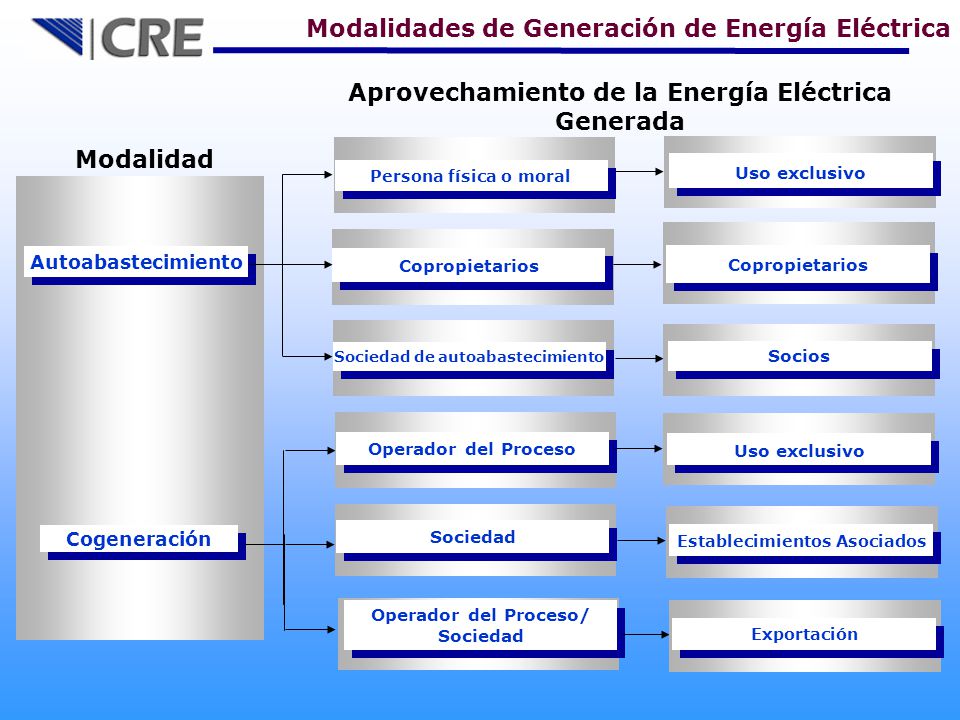 Aprovechamiento de la Energía Eléctrica Generada Modalidad