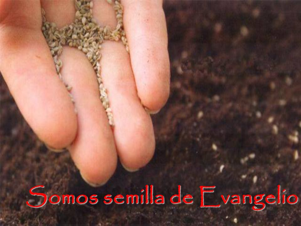 Somos semilla de Evangelio