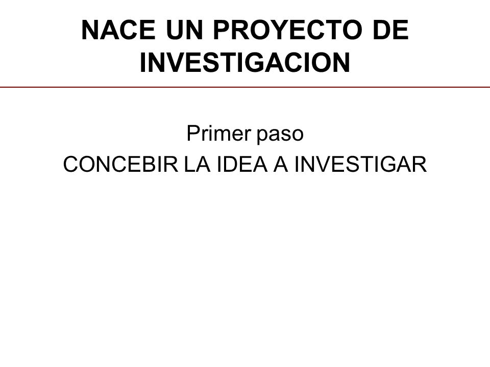 NACE UN PROYECTO DE INVESTIGACION