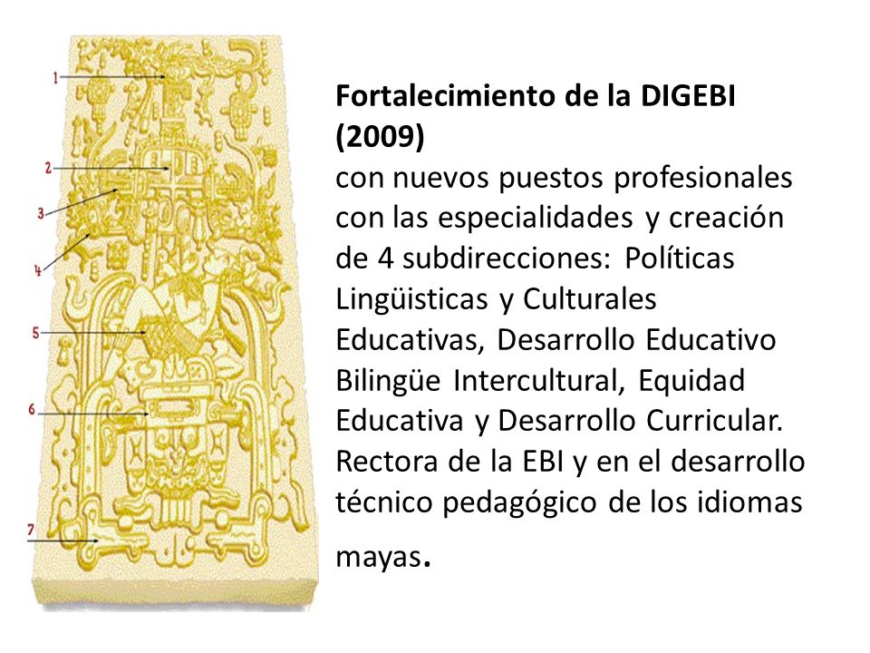 Fortalecimiento de la DIGEBI (2009) con nuevos puestos profesionales con las especialidades y creación de 4 subdirecciones: Políticas Lingüisticas y Culturales Educativas, Desarrollo Educativo Bilingüe Intercultural, Equidad Educativa y Desarrollo Curricular.