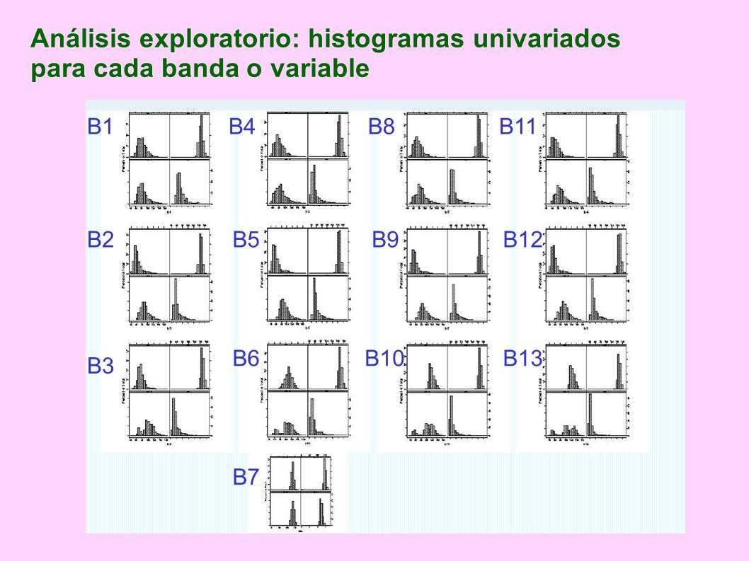 Análisis exploratorio: histogramas univariados para cada banda o variable