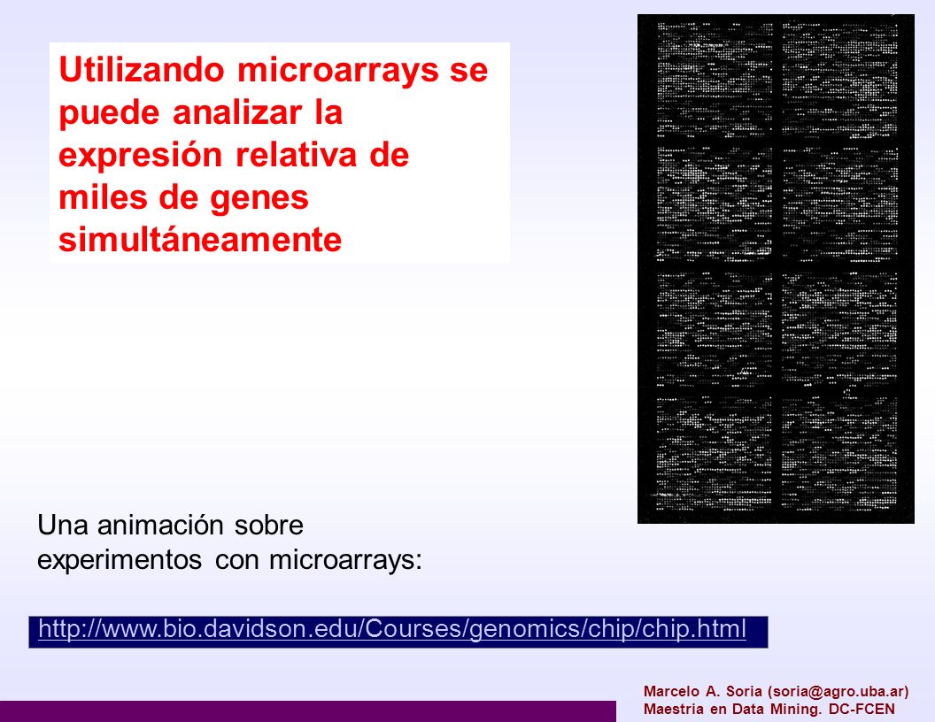 Utilizando microarrays se puede analizar la expresión relativa de miles de genes simultáneamente