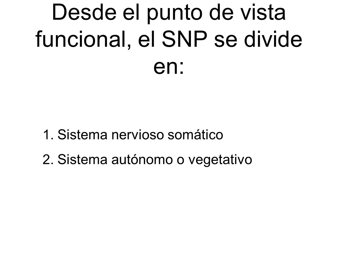 Desde el punto de vista funcional, el SNP se divide en: