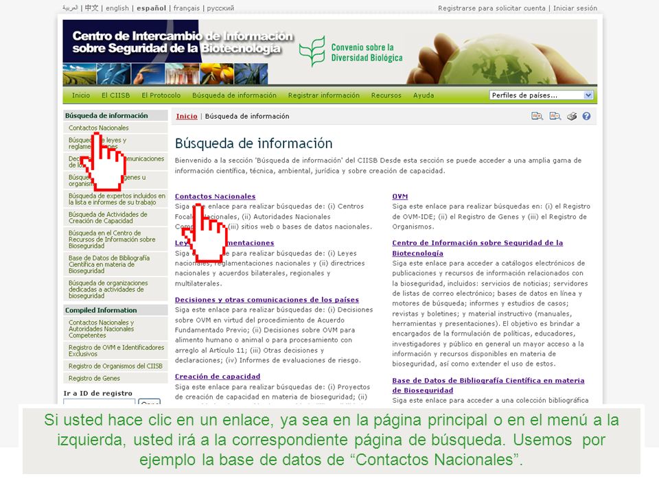 Si usted hace clic en un enlace, ya sea en la página principal o en el menú a la izquierda, usted irá a la correspondiente página de búsqueda.