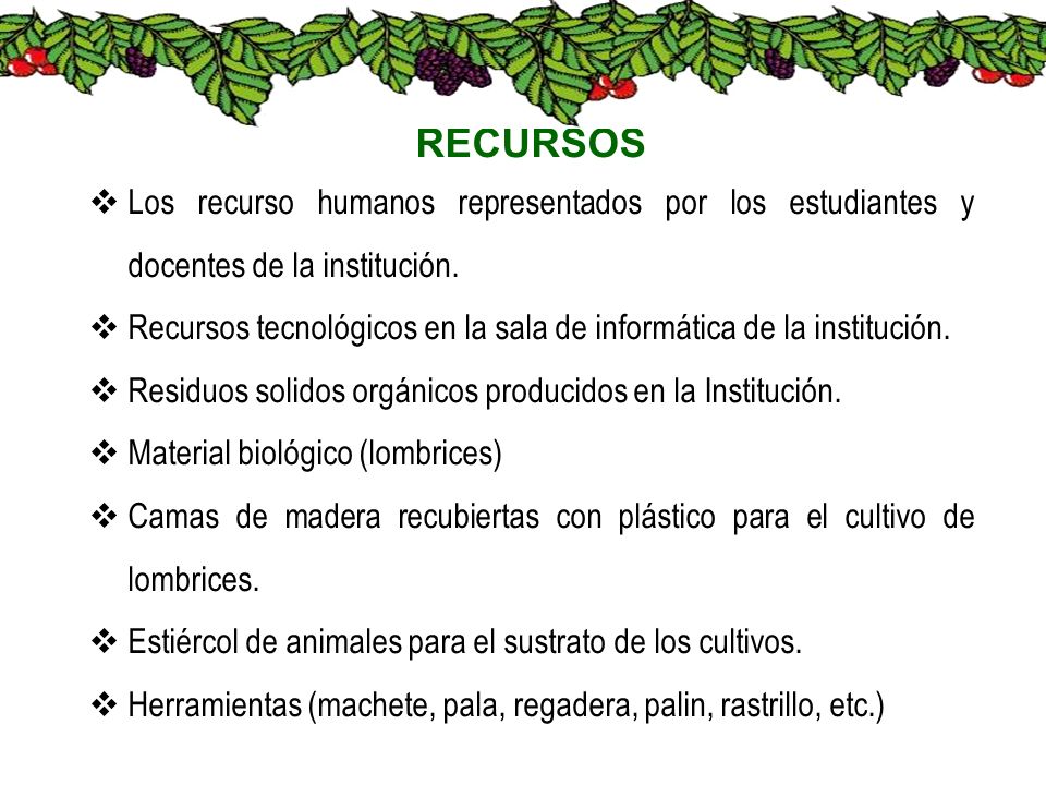 RECURSOS Los recurso humanos representados por los estudiantes y docentes de la institución.