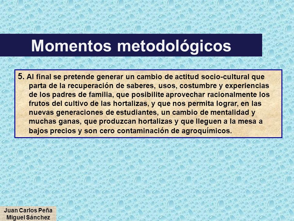 Momentos metodológicos Juan Carlos Peña Miguel Sánchez