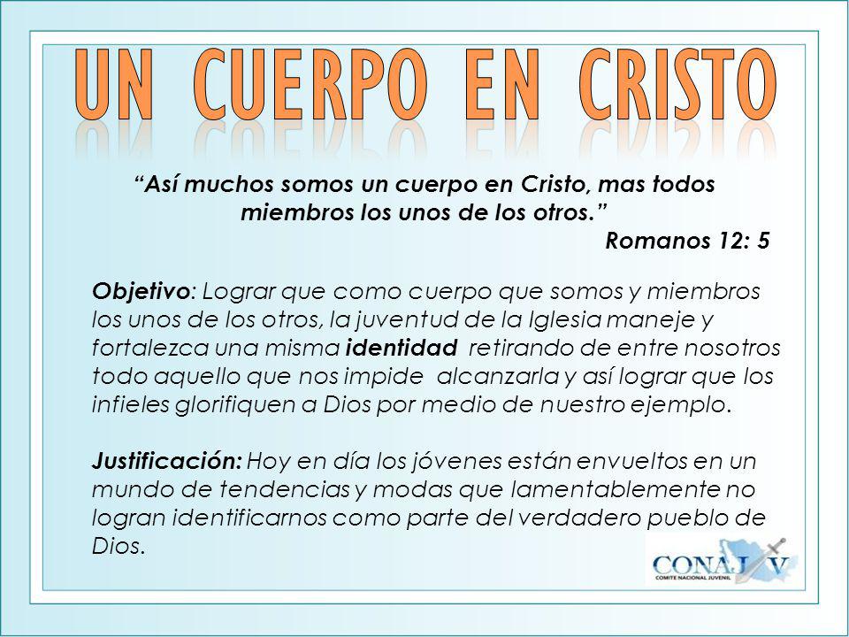 Un cuerpo en Cristo Así muchos somos un cuerpo en Cristo, mas todos miembros los unos de los otros.