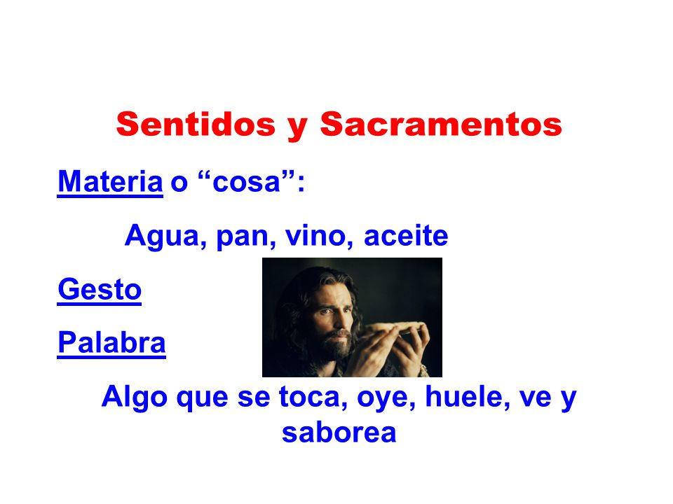 Sentidos y Sacramentos Algo que se toca, oye, huele, ve y saborea