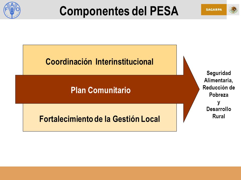 Componentes del PESA Coordinación Interinstitucional Plan Comunitario