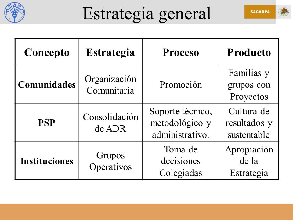 Estrategia general Concepto Estrategia Proceso Producto Comunidades