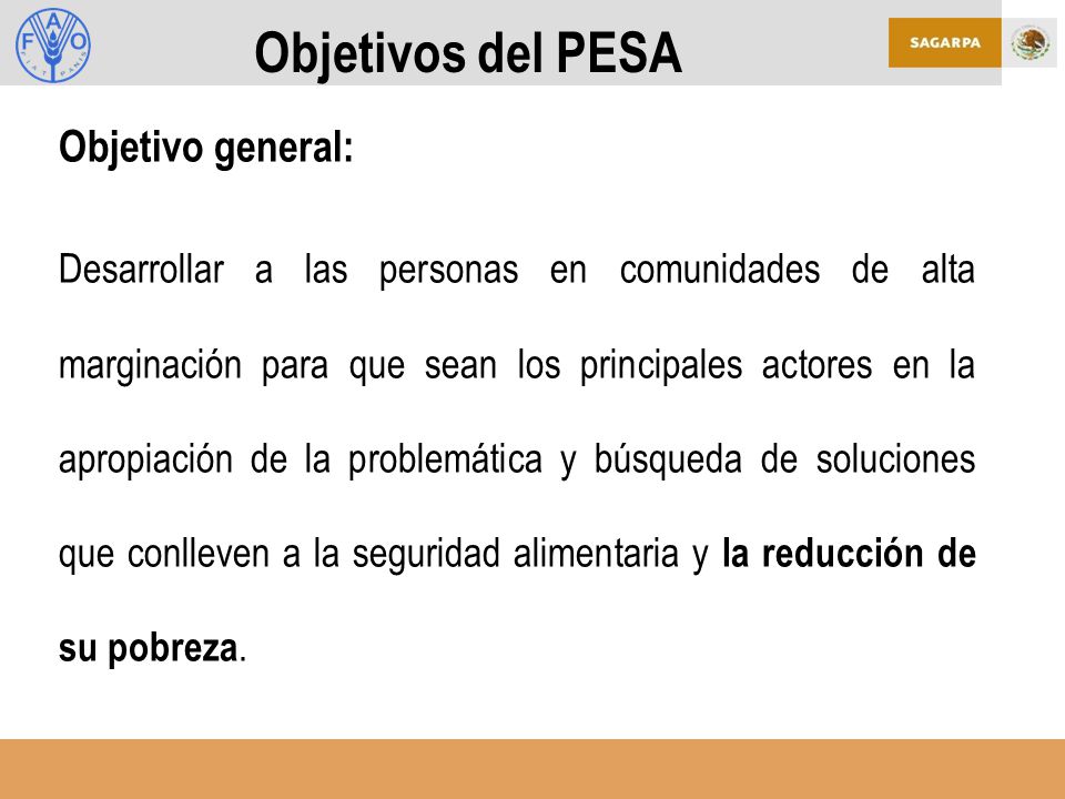 Objetivos del PESA Objetivo general: