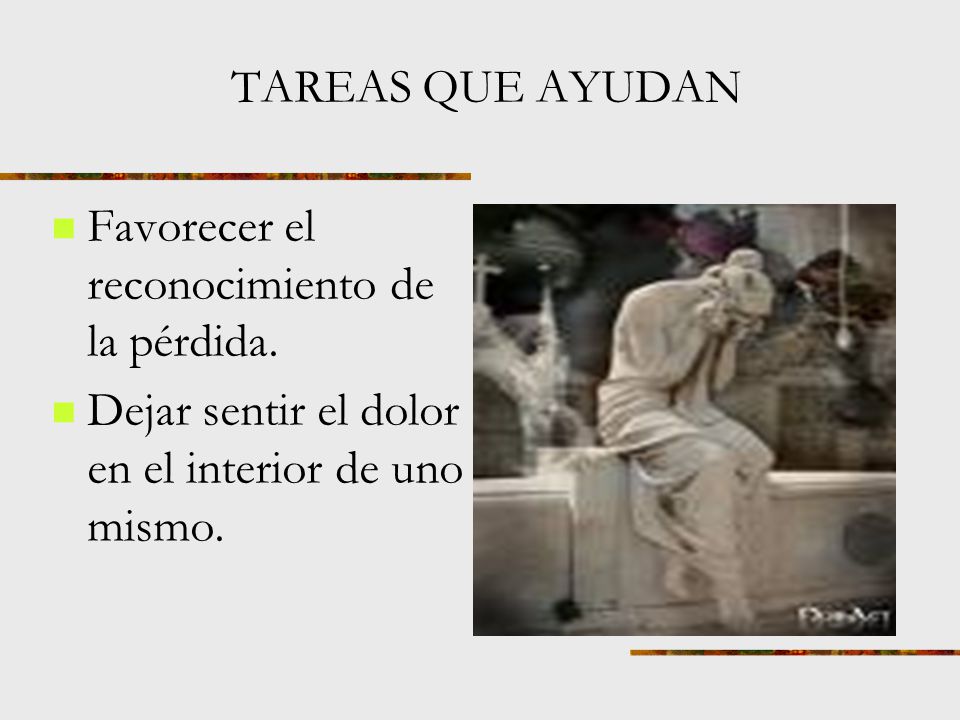 TAREAS QUE AYUDAN Favorecer el reconocimiento de la pérdida.