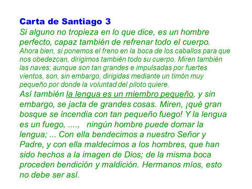 Carta de Santiago 3 Si alguno no tropieza en lo que dice, es un hombre perfecto, capaz también de refrenar todo el cuerpo.