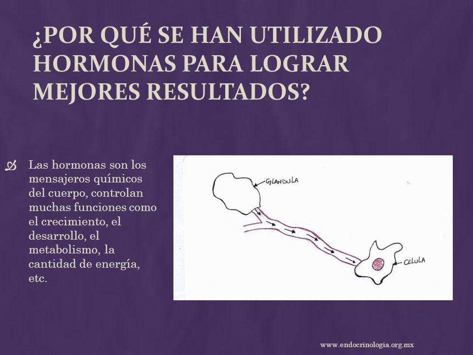 ¿Por qué se han utilizado hormonas para lograr mejores resultados