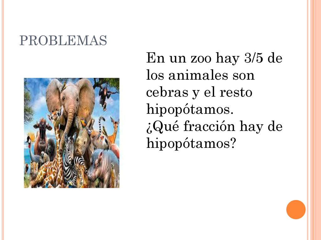 En un zoo hay 3/5 de los animales son cebras y el resto hipopótamos.