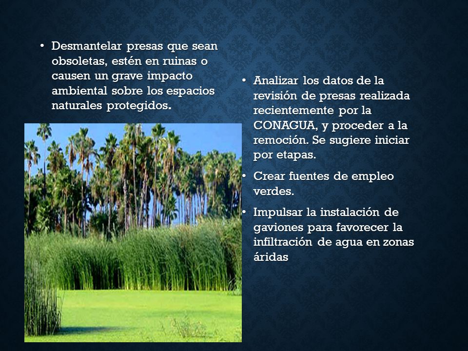 Desmantelar presas que sean obsoletas, estén en ruinas o causen un grave impacto ambiental sobre los espacios naturales protegidos.