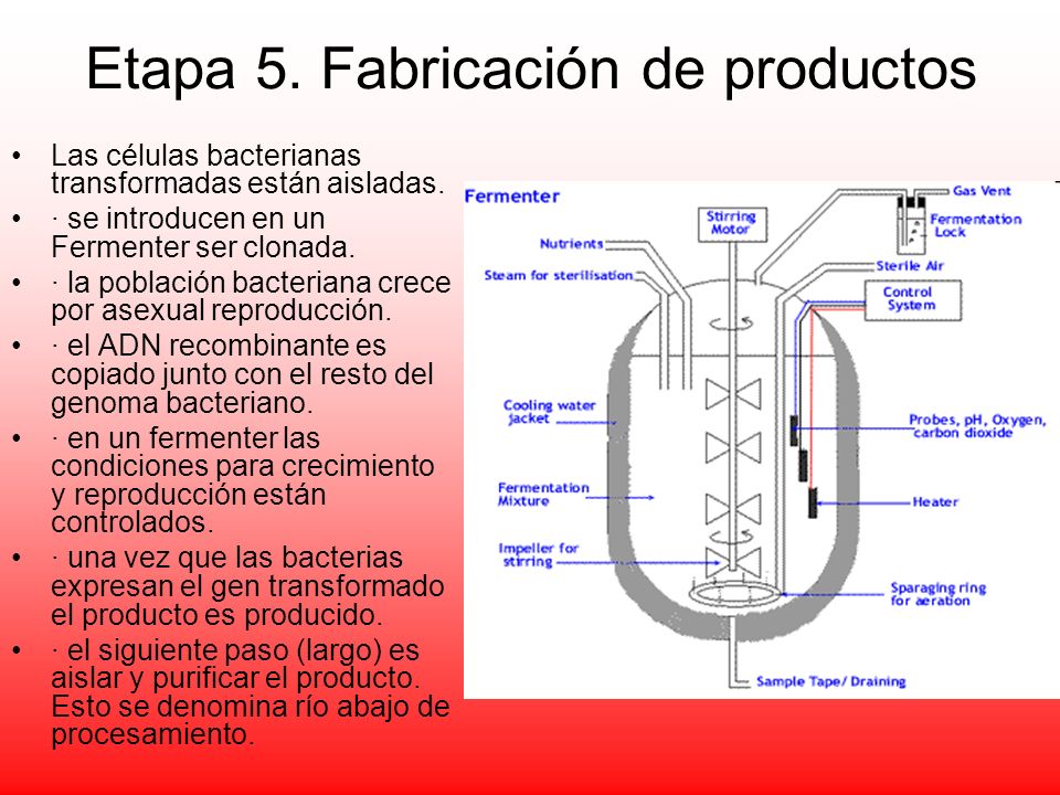 Etapa 5. Fabricación de productos