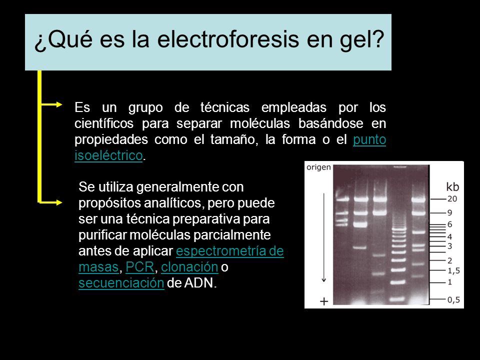 ¿Qué es la electroforesis en gel