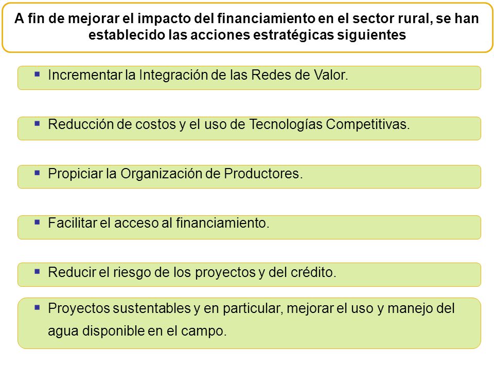 A fin de mejorar el impacto del financiamiento en el sector rural, se han establecido las acciones estratégicas siguientes