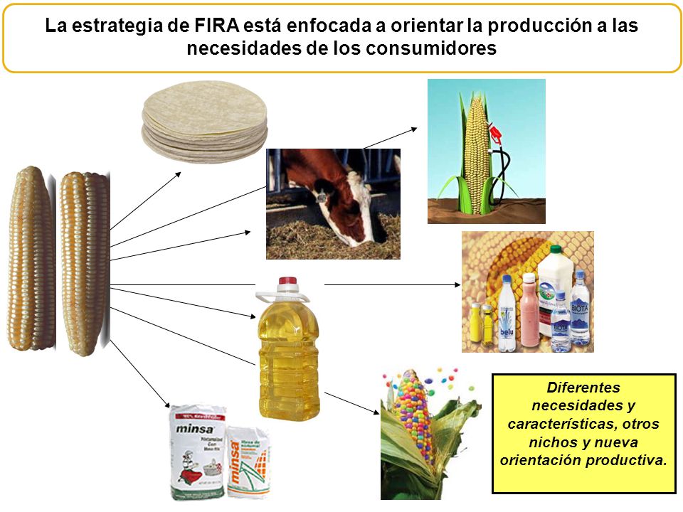La estrategia de FIRA está enfocada a orientar la producción a las necesidades de los consumidores