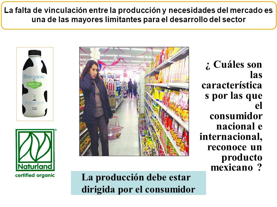 La falta de vinculación entre la producción y necesidades del mercado es una de las mayores limitantes para el desarrollo del sector