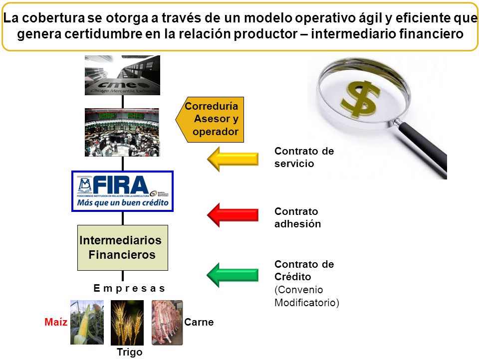 La cobertura se otorga a través de un modelo operativo ágil y eficiente que genera certidumbre en la relación productor – intermediario financiero