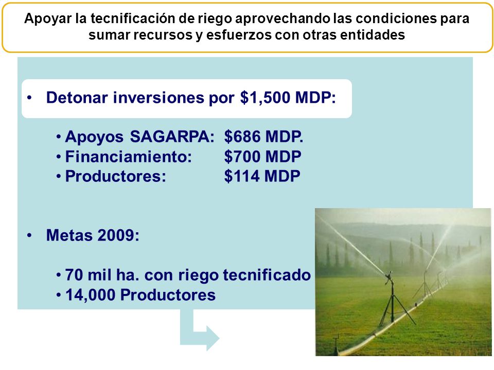 Detonar inversiones por $1,500 MDP: Apoyos SAGARPA: $686 MDP.