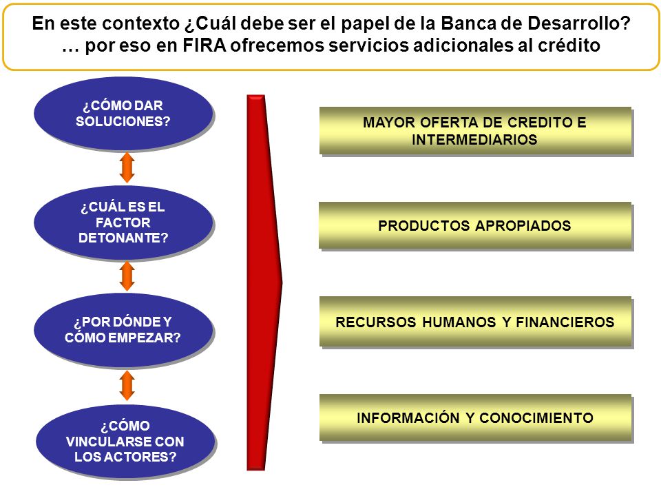 En este contexto ¿Cuál debe ser el papel de la Banca de Desarrollo