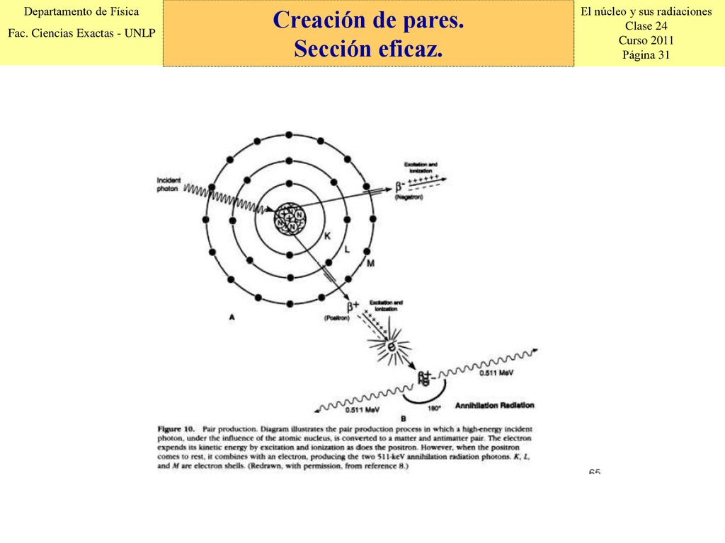 Creación de pares. Sección eficaz. Creación de pares. Sección eficaz.