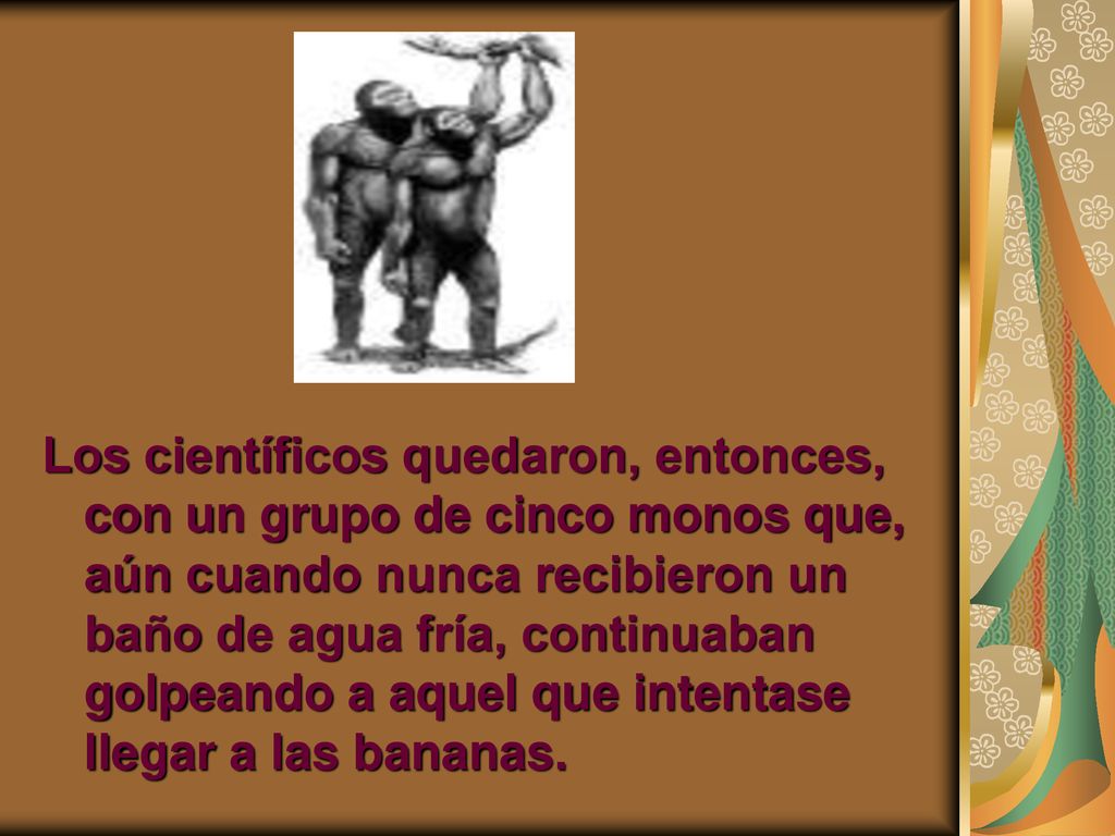 Los científicos quedaron, entonces, con un grupo de cinco monos que, aún cuando nunca recibieron un baño de agua fría, continuaban golpeando a aquel que intentase llegar a las bananas.