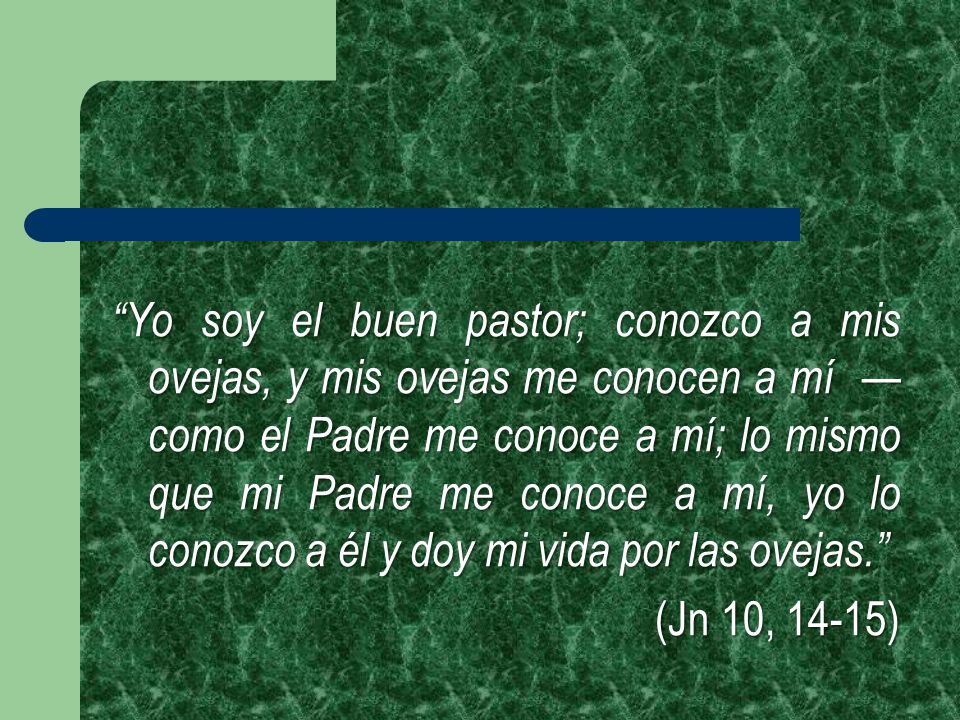 Yo soy el buen pastor; conozco a mis ovejas, y mis ovejas me conocen a mí —como el Padre me conoce a mí; lo mismo que mi Padre me conoce a mí, yo lo conozco a él y doy mi vida por las ovejas.