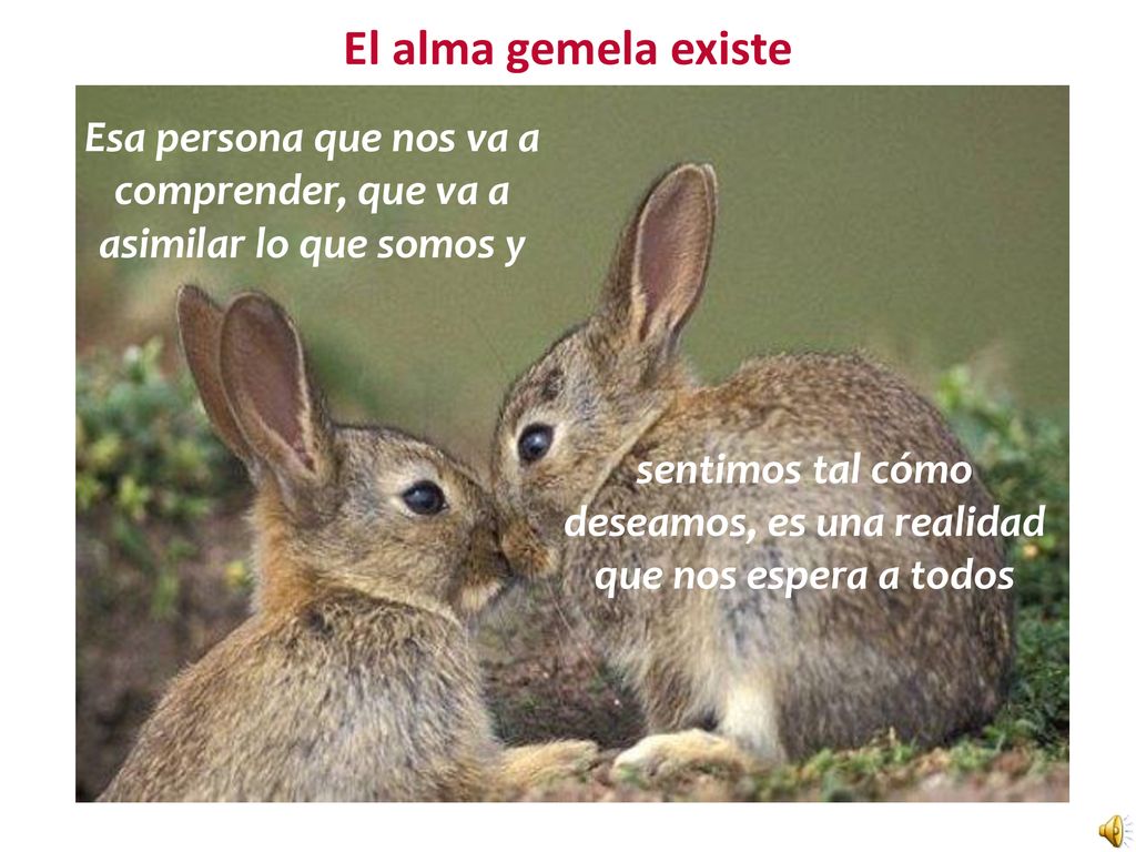 Esa persona que nos va a comprender, que va a asimilar lo que somos y