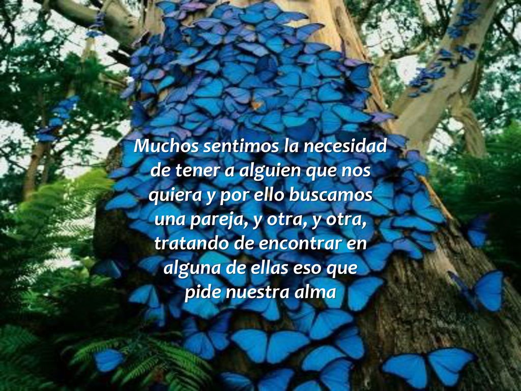 Muchos sentimos la necesidad de tener a alguien que nos